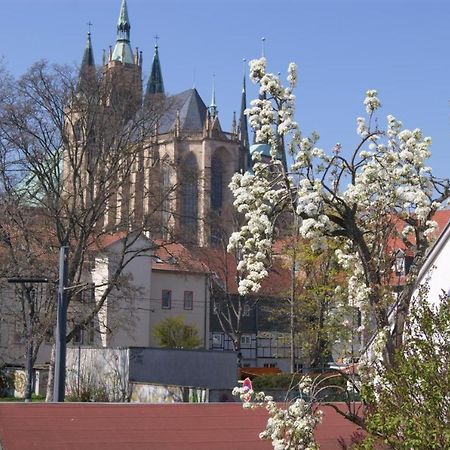 Hotelpension Am Dom Erfurt Exteriér fotografie