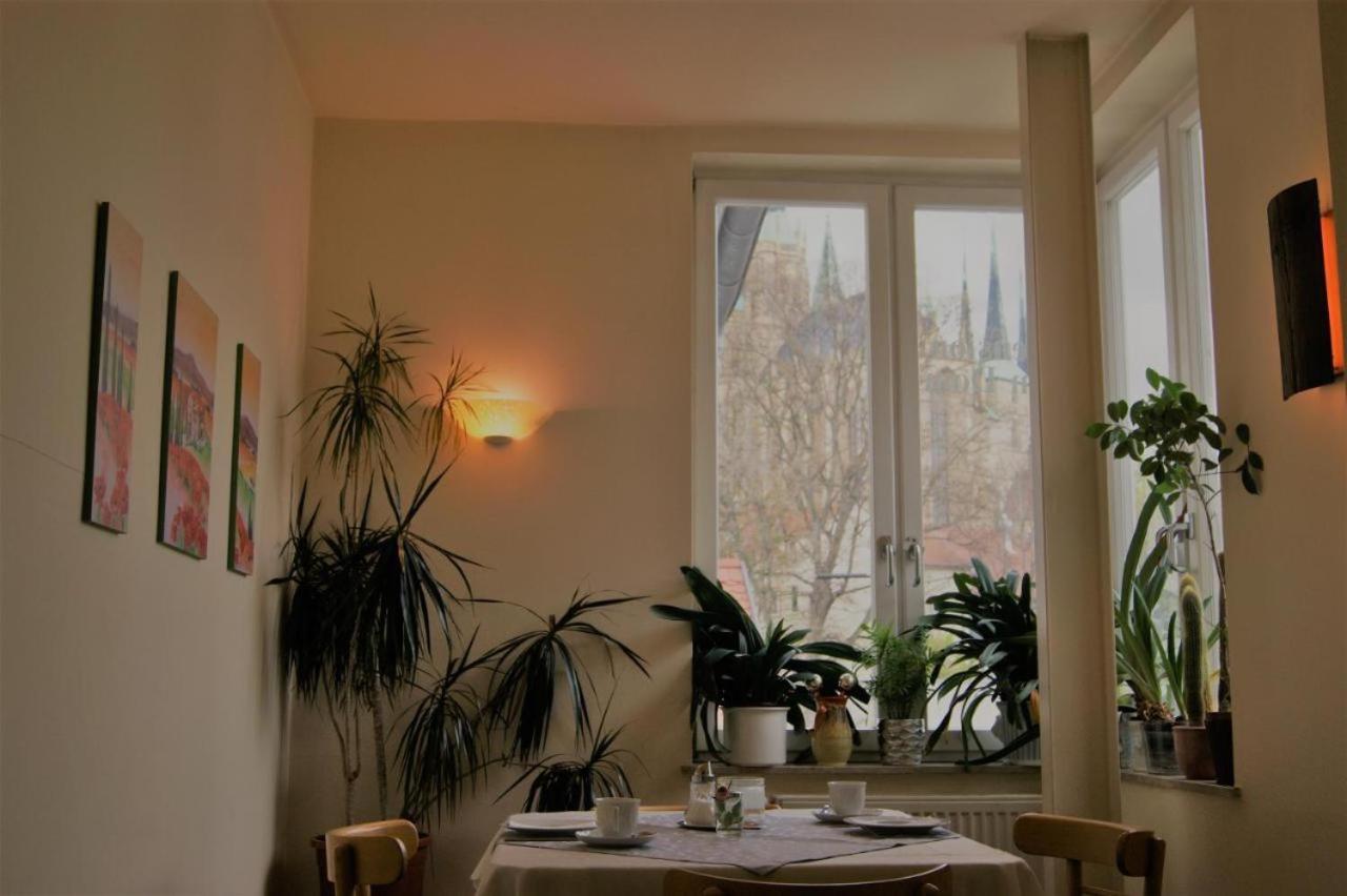 Hotelpension Am Dom Erfurt Exteriér fotografie