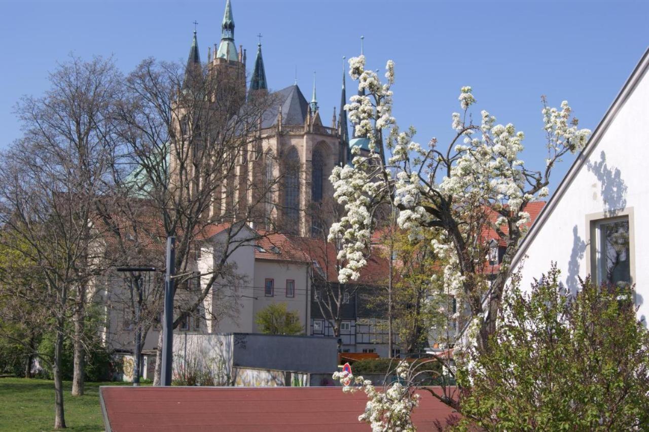Hotelpension Am Dom Erfurt Exteriér fotografie